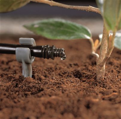 Arrosage du jardin au goutte à goutte