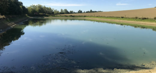 Retenue d'eau agricole dans le Gers