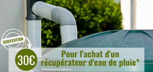 Aide et Subvention pour l'achat d'un récupérateur d'eau de pluie