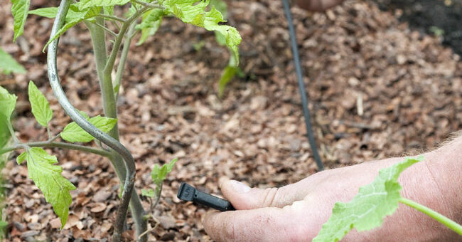 Guide d'installation d'un arrosage goutte à goutte pour le jardin