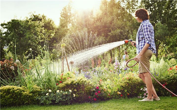 Arroser le jardin avec un tuyau d'arrosage