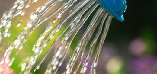 L'eau de pluie est un geste écocitoyen