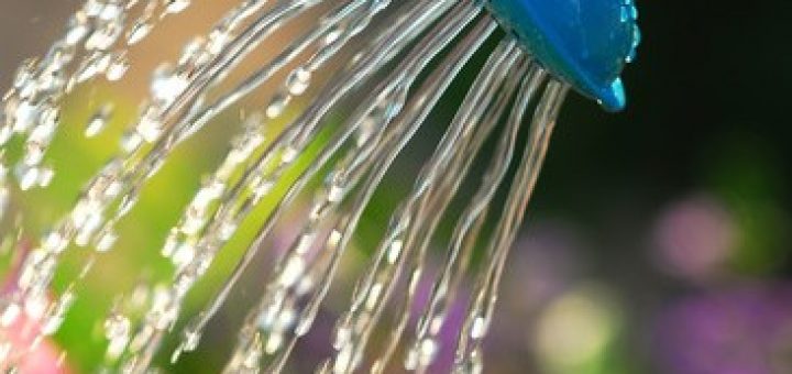 L'eau de pluie est un geste écocitoyen