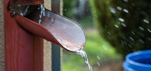 Récupération d'eau de pluie. Des conseils et avis pour mieux choisir