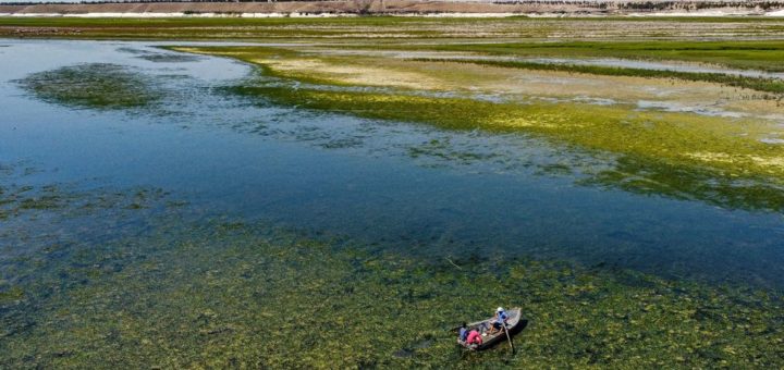 Fleuve euphrate